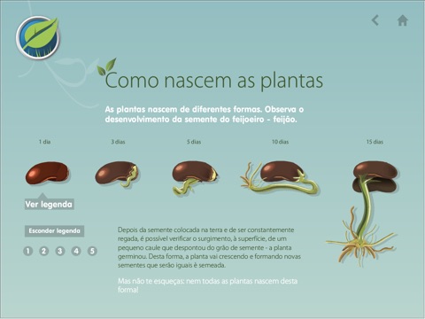 Plantas - CM Redondo screenshot 3