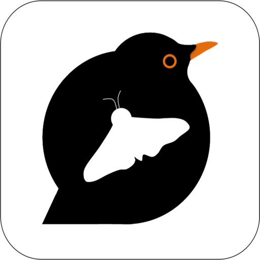 Hungry Birds EDU iOS App
