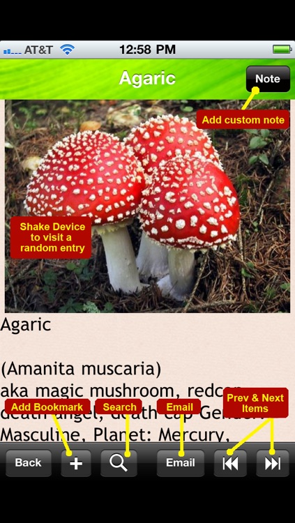 Magical Herbs Bible screenshot-4