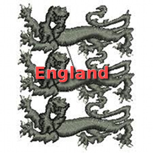 Euro 2012 England icon