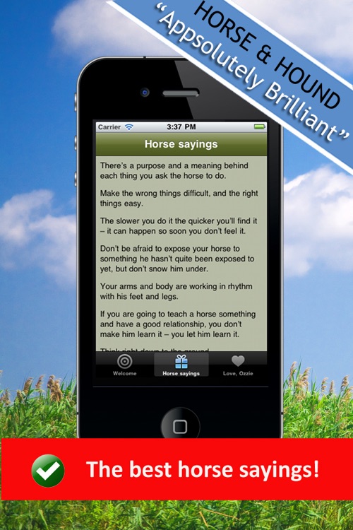 Horse Back Riding Sayings - Equestrian Horsemanship App