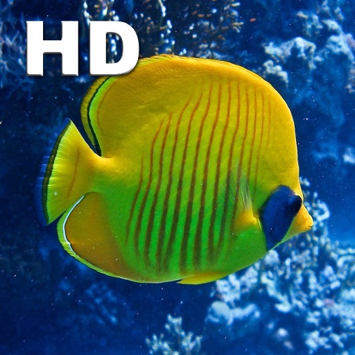 Salt Water Fish HD icon