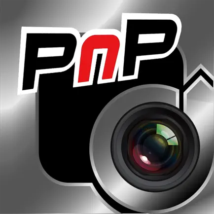 PnPCam H Читы