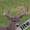 Pro Deer Calls lite