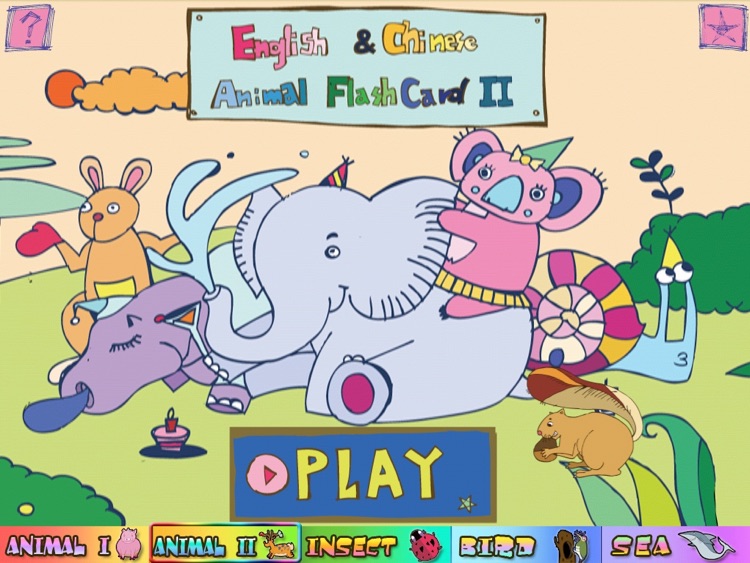 Flash Card Animal HD