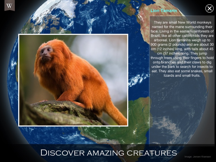 Animal Wonders of the World