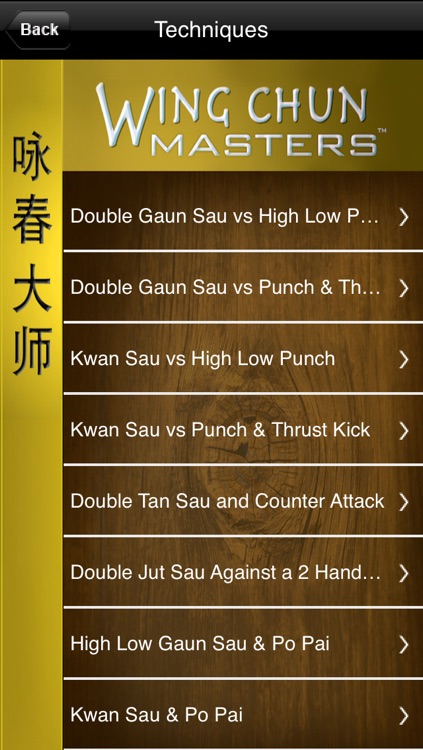 Wing Chun Masters 4