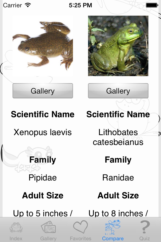 My Favorite Froggy screenshot 3