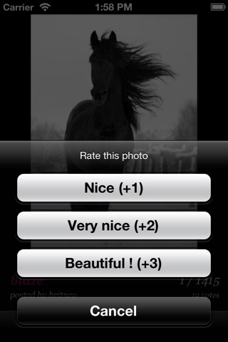 Sweet Horse screenshot 3