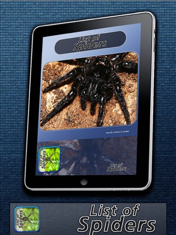 List of Spiders screenshot 2