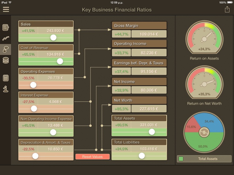 Key Financial Ratios screenshot-3
