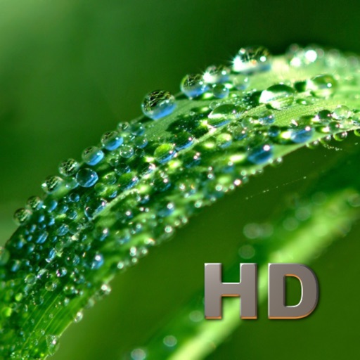 Medicinal Plants HD icon