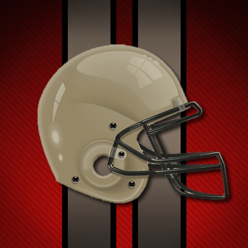 Tampa Bay Football Live Icon