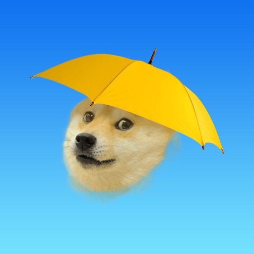 Doge Weather - Such Forecast