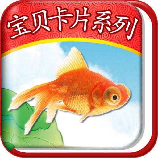 宝贝卡片系列（动物篇） icon