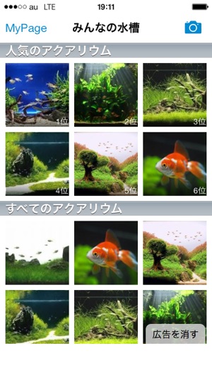 Pocket Aquarium【みんなの水槽】(圖1)-速報App