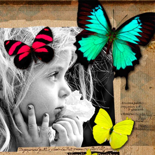 Butterfly Cam HD icon