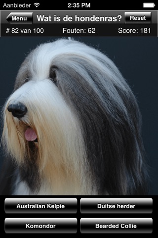 Dog Breed Quiz screenshot 3