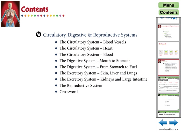 Circulatory, Digestive & Reproductive Systems - Free CH1