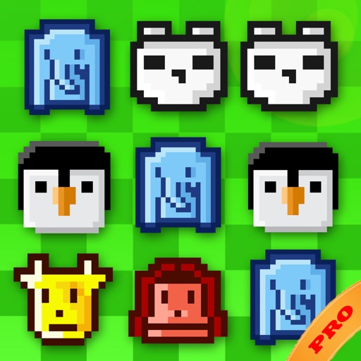 Animal Zoo Match Pro Icon