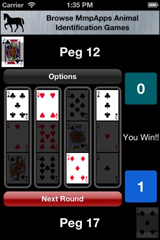 Cribbage Pillars screenshot 3