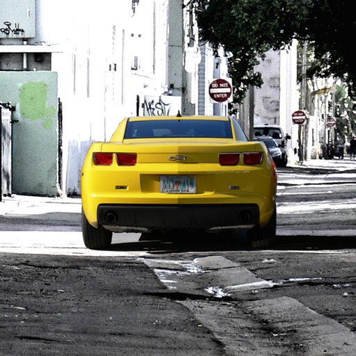 Camaro Bible