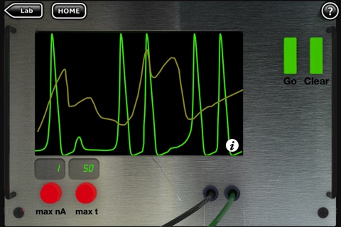 Brain Lab screenshot 4