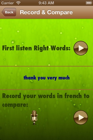 Learn Hindi: For Party - Emotions - Express yourself - Basic words - Female voice screenshot 4
