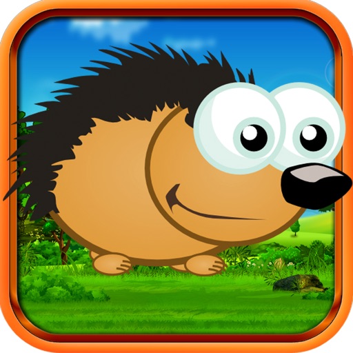 Hedgehog Dash Bounce Icon