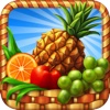 Gourmania 3: Zoo Zoom HD