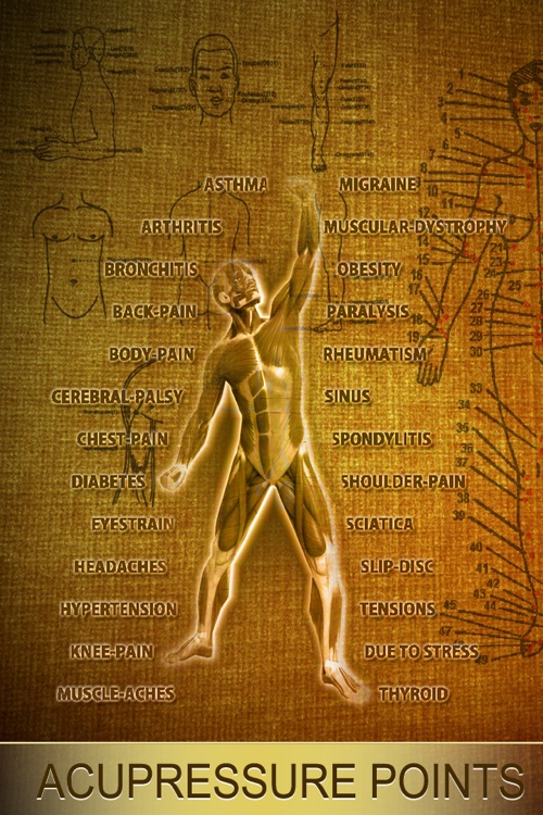 AcuPressure: Visually Interactive Self Treatment screenshot-3