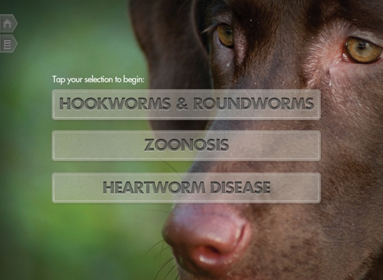 Heartworm