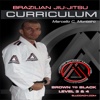 BJJ Brown to Black Lvl.3&4 Curriculum Step-by-Step Jiu Jitsu System