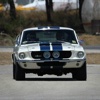 Shelby World