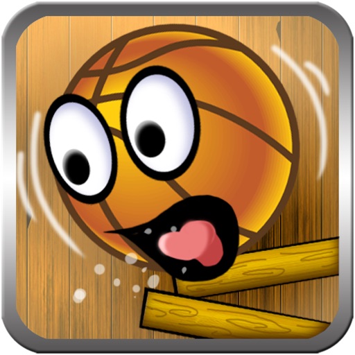Basketball Physics Puzzle icon