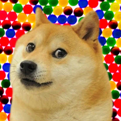 Doge 2048 Pro