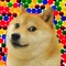 The popular Doge 2048 comes to iOS and it looks better than ever