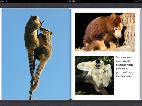  Rainforest Animals On Apple Books