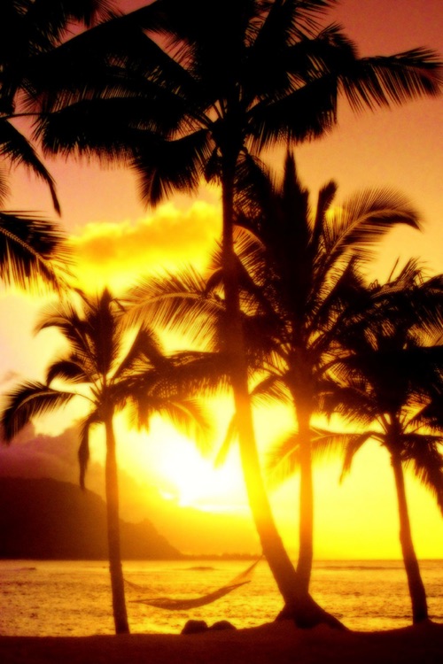 Wallpapers + Backgrounds of Hawaii HD for iPhone