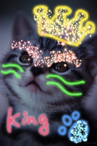 Glitter Draw With GIF Export