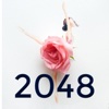 2048 Flower Fashion 3x3 4x4 5x5 6x6 Endless Mode