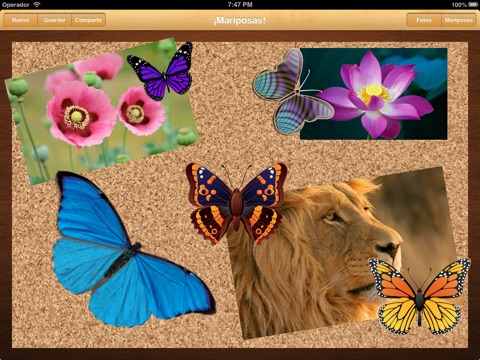 My Butterflies! screenshot 4