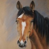 How to Paint a Horse with aAward-winning Artist: Amazing drawing and painting app