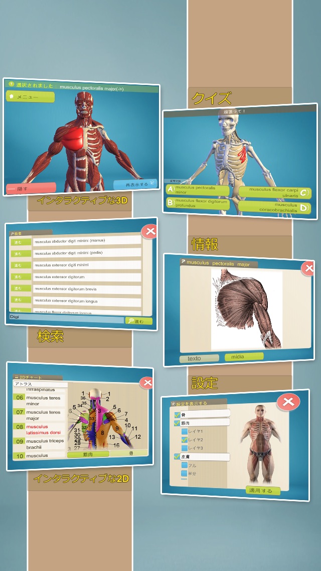 簡単な解剖学 3D screenshot1