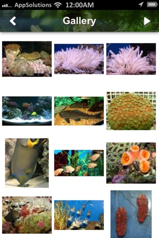 House Of Tropicals - Voted Best Fish Store in Baltimore! screenshot 3