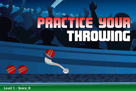 Toss the Cricket Ball - Throwing Practice Game screenshot 2