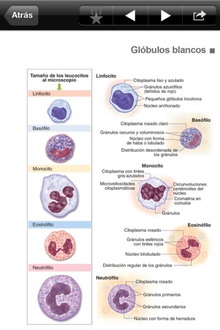 Miniatlas Hematology screenshot 2