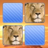 Memo Game Wild Animals Photo