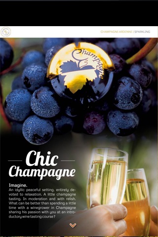 Champagne-Ardenne n°1 - English screenshot 3