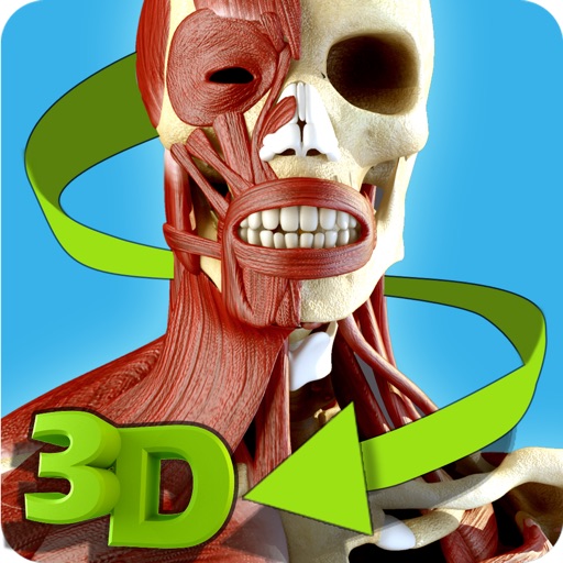 簡単な解剖学 3D